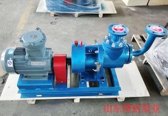 博山YHQ型液化石油氣螺杆泵